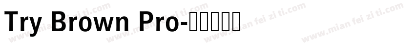 Try Brown Pro字体转换